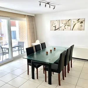 Sauvignon Centrum Met Garagestaanplaats , Ostende Belgique